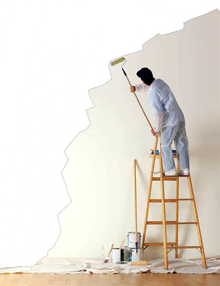 servicio de decoración